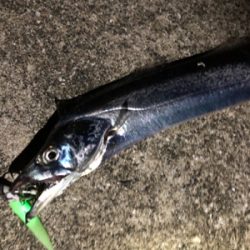 DAISO タチウオワーム 無双！