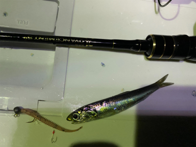 サバゲー 中層にカタクチ