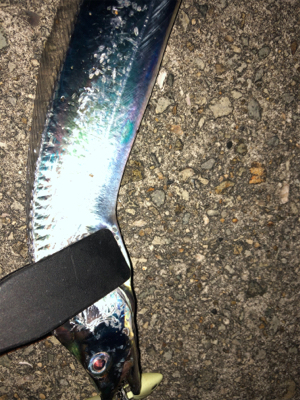 ワインドテンヤ