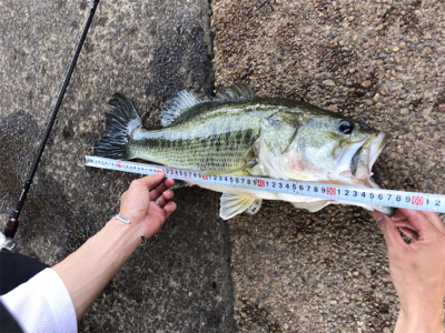 津風呂湖にてvo3