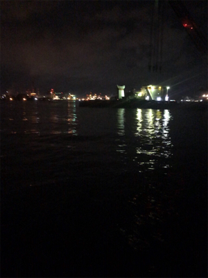 アオリイカ 調査(^^)