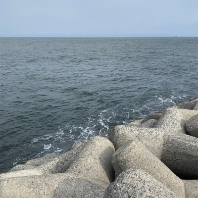 貝塚人工島でジグサビキ