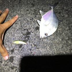 ショートバイトの正体