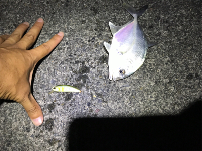 ショートバイトの正体