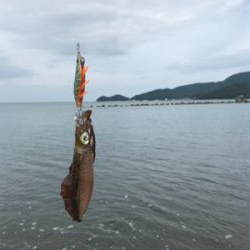 サーフエギング