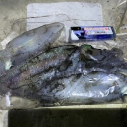 連休はハイプレッシャー