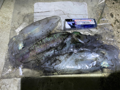 連休はハイプレッシャー