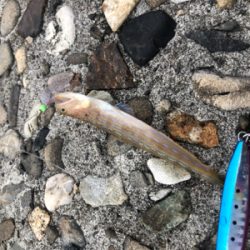 エソエソエソエソ