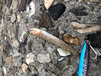 エソエソエソエソ