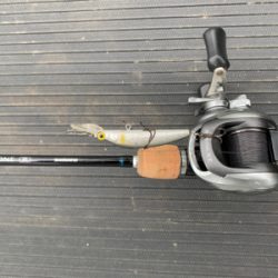 10年ぶりくらいのバス