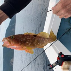 和田港啓福丸さんにて