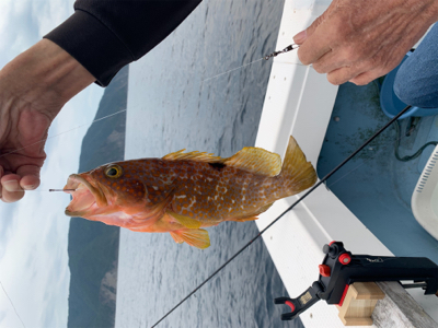 和田港啓福丸さんにて