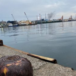 ランカーか？と思うほど