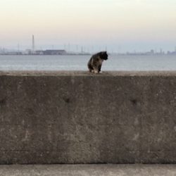 人が多くて賑やか