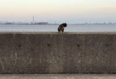 人が多くて賑やか