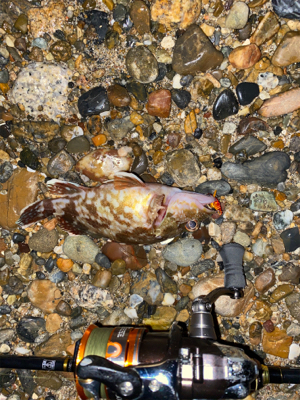 アタリはあるけど