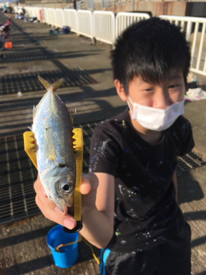 ちょっと難しいサビキ釣り