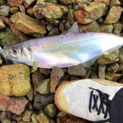 久しぶりにつれた！