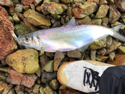 久しぶりにつれた！