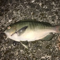 今日は子供会の日?