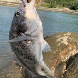 昼間の満潮から下げは難しい