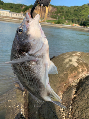 昼間の満潮から下げは難しい