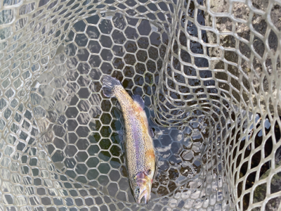 川場キングダムフィッシング