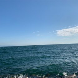 ショアジギング