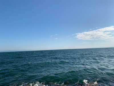 ショアジギング