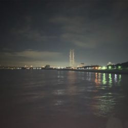 アジング始めました! こりゃおもろいわ!