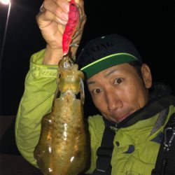 秋イカと剣先イカ☆GUNNING-STYLE