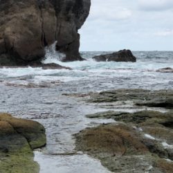 サイズのいい根魚かと思うアタリから