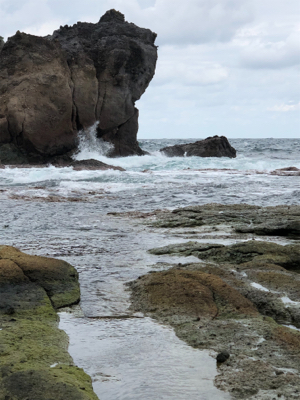 サイズのいい根魚かと思うアタリから