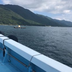 恒例の台風前にショアジギング