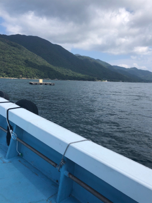 恒例の台風前にショアジギング