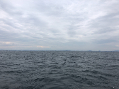 台風が直撃せず、それたのに、、、