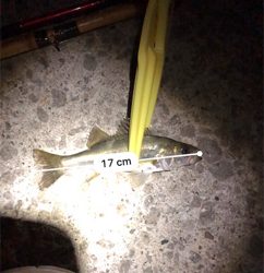 職場のみんなと