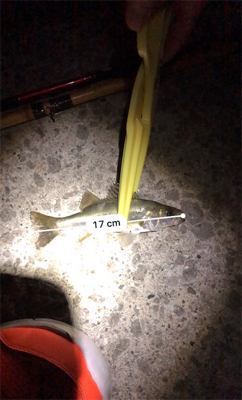 職場のみんなと