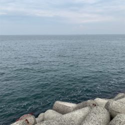 メジロ！貝塚人工島デイゲーム