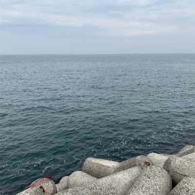 メジロ！貝塚人工島デイゲーム