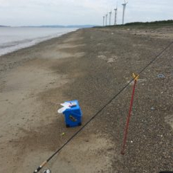 伊良湖サーフから西の浜サーフにて投げ釣りとジギング