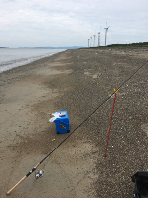 伊良湖サーフから西の浜サーフにて投げ釣りとジギング