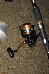 ライトショアジギング