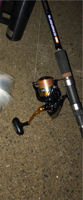 ライトショアジギング