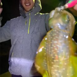 雨のナイトエギング