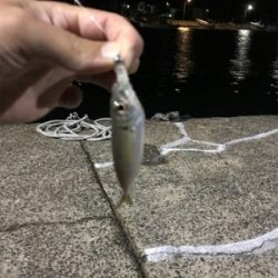 久々のナイトゲーム！