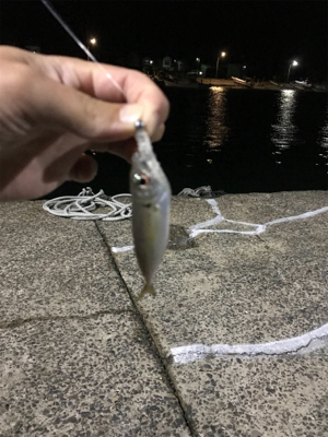 久々のナイトゲーム！