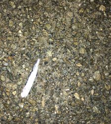 アジングナイト