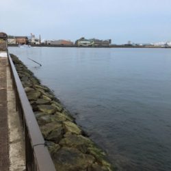 タチウオワインドスタート