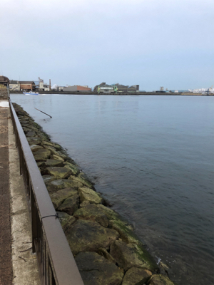 タチウオワインドスタート